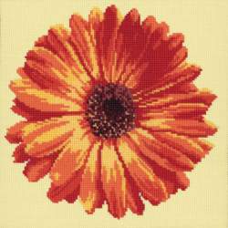 Elizabeth Bradley, Blooms, POT MARIGOLD - 12x12 pollici Elizabeth Bradley - 9