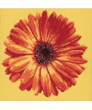 Elizabeth Bradley, Blooms, POT MARIGOLD - 12x12 pollici Elizabeth Bradley - 10