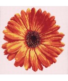 Elizabeth Bradley, Blooms, POT MARIGOLD - 12x12 pollici Elizabeth Bradley - 11