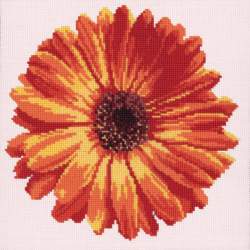 Elizabeth Bradley, Blooms, POT MARIGOLD - 12x12 pollici Elizabeth Bradley - 11