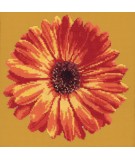 Elizabeth Bradley, Blooms, POT MARIGOLD - 12x12 pollici Elizabeth Bradley - 12