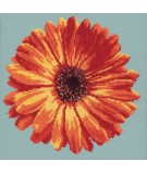 Elizabeth Bradley, Blooms, POT MARIGOLD - 12x12 pollici Elizabeth Bradley - 13