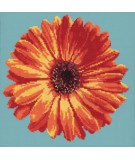 Elizabeth Bradley, Blooms, POT MARIGOLD - 12x12 pollici Elizabeth Bradley - 14