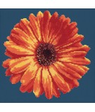 Elizabeth Bradley, Blooms, POT MARIGOLD - 12x12 pollici Elizabeth Bradley - 15