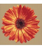 Elizabeth Bradley, Blooms, POT MARIGOLD - 12x12 pollici Elizabeth Bradley - 16