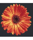 Elizabeth Bradley, Blooms, POT MARIGOLD - 12x12 pollici Elizabeth Bradley - 17