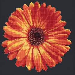 Elizabeth Bradley, Blooms, POT MARIGOLD - 12x12 pollici Elizabeth Bradley - 17