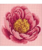 Elizabeth Bradley, Blooms, PEONY - 12x12 pollici Elizabeth Bradley - 1