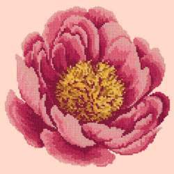 Elizabeth Bradley, Blooms, PEONY - 12x12 pollici Elizabeth Bradley - 2