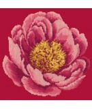 Elizabeth Bradley, Blooms, PEONY - 12x12 pollici Elizabeth Bradley - 3