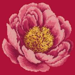 Elizabeth Bradley, Blooms, PEONY - 12x12 pollici Elizabeth Bradley - 3