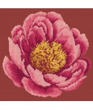 Elizabeth Bradley, Blooms, PEONY - 12x12 pollici Elizabeth Bradley - 4