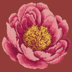 Elizabeth Bradley, Blooms, PEONY - 12x12 pollici Elizabeth Bradley - 4