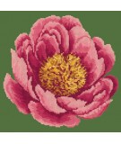 Elizabeth Bradley, Blooms, PEONY - 12x12 pollici Elizabeth Bradley - 5