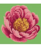 Elizabeth Bradley, Blooms, PEONY - 12x12 pollici Elizabeth Bradley - 6