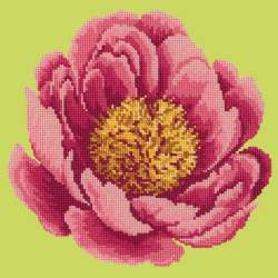 Elizabeth Bradley, Blooms, PEONY - 12x12 pollici Elizabeth Bradley - 7