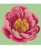 Elizabeth Bradley, Blooms, PEONY - 12x12 pollici Elizabeth Bradley - 8