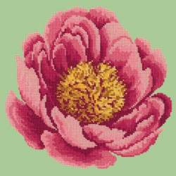 Elizabeth Bradley, Blooms, PEONY - 12x12 pollici Elizabeth Bradley - 8