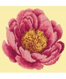 Elizabeth Bradley, Blooms, PEONY - 12x12 pollici Elizabeth Bradley - 9