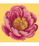 Elizabeth Bradley, Blooms, PEONY - 12x12 pollici Elizabeth Bradley - 10