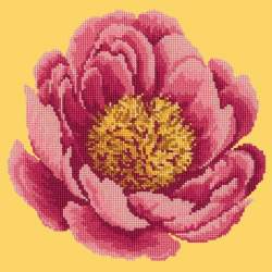 Elizabeth Bradley, Blooms, PEONY - 12x12 pollici Elizabeth Bradley - 10