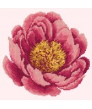 Elizabeth Bradley, Blooms, PEONY - 12x12 pollici Elizabeth Bradley - 11