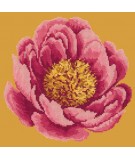 Elizabeth Bradley, Blooms, PEONY - 12x12 pollici Elizabeth Bradley - 12