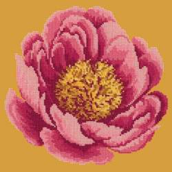 Elizabeth Bradley, Blooms, PEONY - 12x12 pollici Elizabeth Bradley - 12