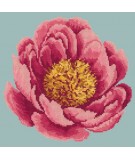 Elizabeth Bradley, Blooms, PEONY - 12x12 pollici Elizabeth Bradley - 13