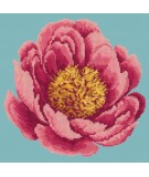 Elizabeth Bradley, Blooms, PEONY - 12x12 pollici Elizabeth Bradley - 14