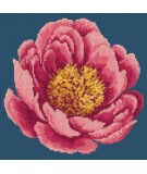 Elizabeth Bradley, Blooms, PEONY - 12x12 pollici Elizabeth Bradley - 15