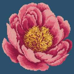 Elizabeth Bradley, Blooms, PEONY - 12x12 pollici Elizabeth Bradley - 15