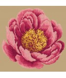 Elizabeth Bradley, Blooms, PEONY - 12x12 pollici Elizabeth Bradley - 16