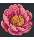 Elizabeth Bradley, Blooms, PEONY - 12x12 pollici Elizabeth Bradley - 17