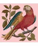 Elizabeth Bradley, Victorian Animals, ALISTER THE PARROT - 16x16 pollici Elizabeth Bradley - 1