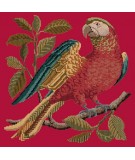 Elizabeth Bradley, Victorian Animals, ALISTER THE PARROT - 16x16 pollici Elizabeth Bradley - 3