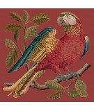 Elizabeth Bradley, Victorian Animals, ALISTER THE PARROT - 16x16 pollici Elizabeth Bradley - 4