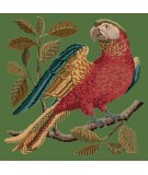 Elizabeth Bradley, Victorian Animals, ALISTER THE PARROT - 16x16 pollici Elizabeth Bradley - 5