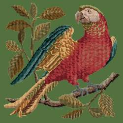 Elizabeth Bradley, Victorian Animals, ALISTER THE PARROT - 16x16 pollici Elizabeth Bradley - 5