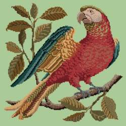 Elizabeth Bradley, Victorian Animals, ALISTER THE PARROT - 16x16 pollici Elizabeth Bradley - 8