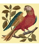 Elizabeth Bradley, Victorian Animals, ALISTER THE PARROT - 16x16 pollici Elizabeth Bradley - 9