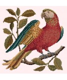 Elizabeth Bradley, Victorian Animals, ALISTER THE PARROT - 16x16 pollici Elizabeth Bradley - 11