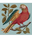 Elizabeth Bradley, Victorian Animals, ALISTER THE PARROT - 16x16 pollici Elizabeth Bradley - 13