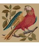 Elizabeth Bradley, Victorian Animals, ALISTER THE PARROT - 16x16 pollici Elizabeth Bradley - 16