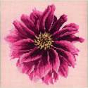 Elizabeth Bradley, Blooms, DAHLIA - 12x12 pollici Elizabeth Bradley - 1