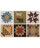 Moda Blockheads - 48 Quilt-Along Blocks Plus Settings for Finished Quilts Martingale - 15