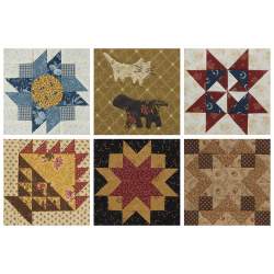 Moda Blockheads - 48 Quilt-Along Blocks Plus Settings for Finished Quilts - Martingale Martingale - 15