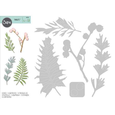 Thinlits Die - Set 5PK Natural Leaves Sizzix - Big Shot - 1