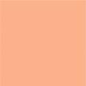 DecoArt Americana Pittura Acrilica Coral Shell, Conchiglia di Corallo DecoArt - Americana - 1