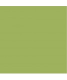 DecoArt Americana Pittura Acrilica Hauser Light Green, Verde Chiaro DecoArt - Americana - 1